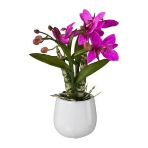 Umelá Rastlina Japonská Orchidea