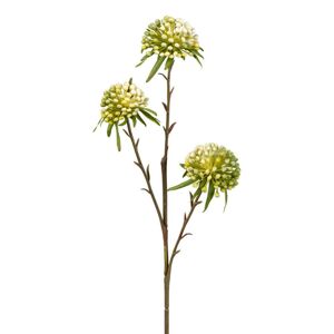 Umelá Rastlina Allium, Výška: 62cm