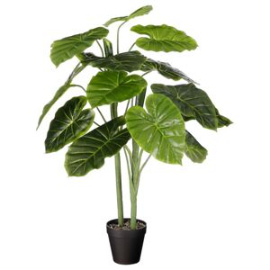 Umelá Rastlina Alocasia, V: 100cm