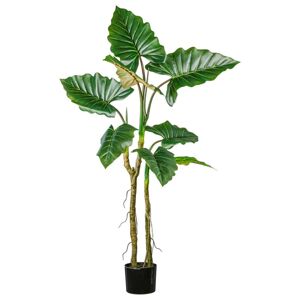 Umelá Rastlina Colocasia, V: 140cm