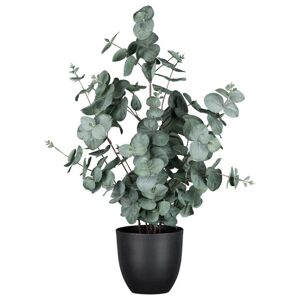 Umelá Rastlina Eukalyptus, V: 60cm