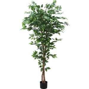 Umelá Rastlina Ficus Ii V: 180cm