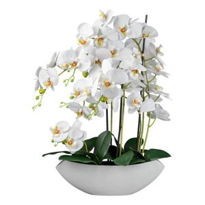 Umelá Rastlina Orchidea, V: 63cm