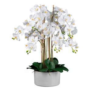Umelá Rastlina Orchidea, V: 78cm