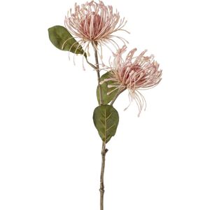 Umelá Rastlina Protea, V: 56cm